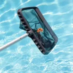 cleaning-swimming-pool-of-fallen-leaf-with-skimmer-net-r4zgfniim21g42t1qmq4ipseibx2ca03hsg64o0gls cleaning-swimming-pool-of-fallen-leaf-with-skimmer-net-r4zgfniim21g42t1qmq4ipseibx2ca03hsg64o0gls
